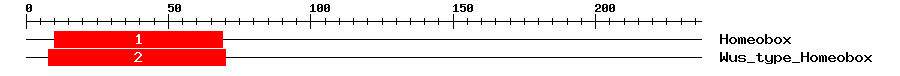 Signature Domain