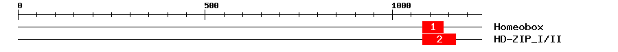 Signature Domain