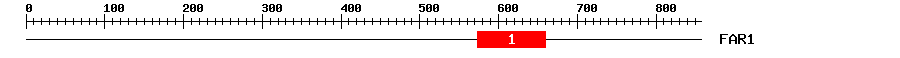 Signature Domain