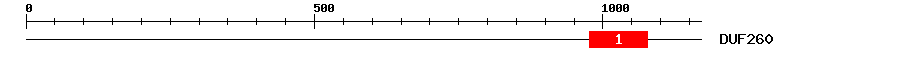 Signature Domain