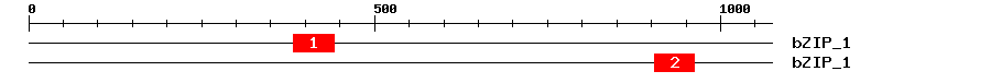 Signature Domain