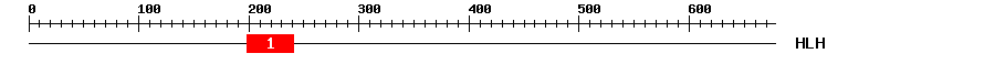 Signature Domain