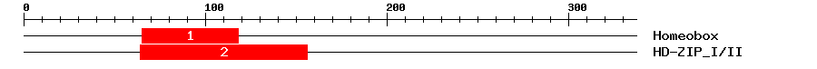 Signature Domain