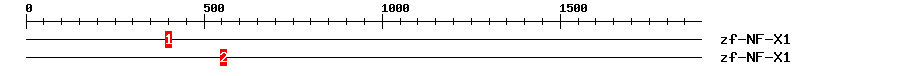 Signature Domain