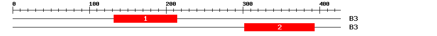 Signature Domain