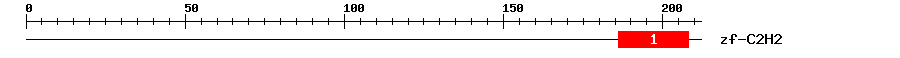 Signature Domain