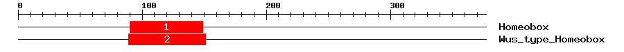 Signature Domain