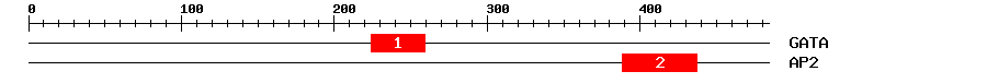 Signature Domain
