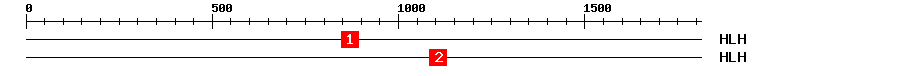 Signature Domain