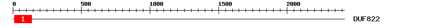 Signature Domain