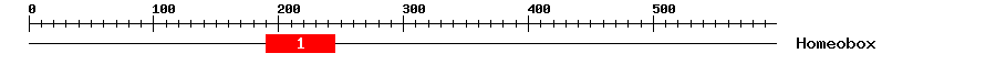 Signature Domain