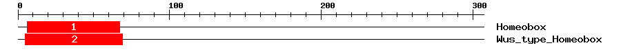 Signature Domain