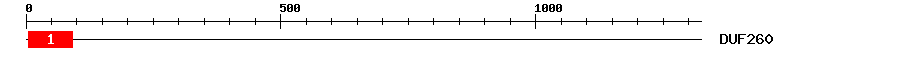 Signature Domain