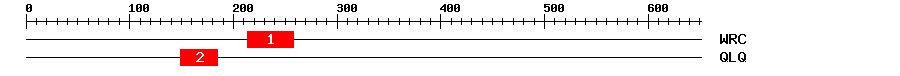 Signature Domain