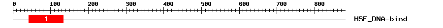 Signature Domain