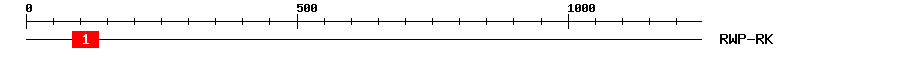 Signature Domain