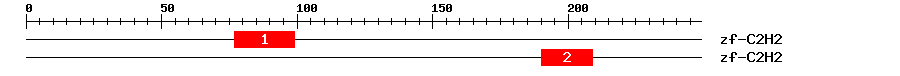 Signature Domain