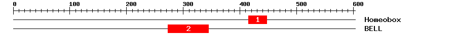 Signature Domain