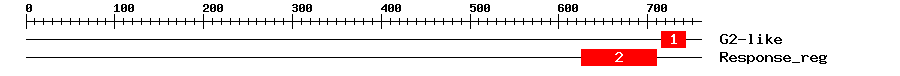 Signature Domain