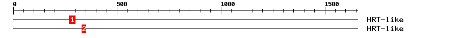 Signature Domain