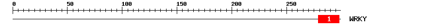Signature Domain
