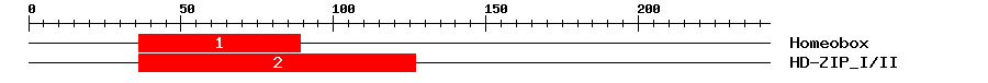 Signature Domain