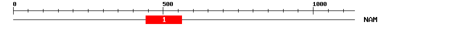 Signature Domain
