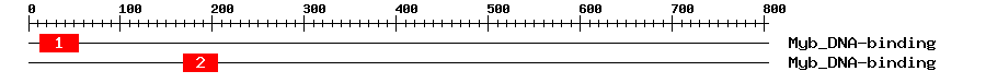 Signature Domain