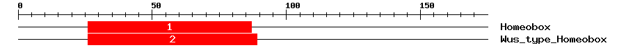 Signature Domain