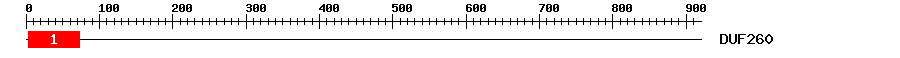 Signature Domain