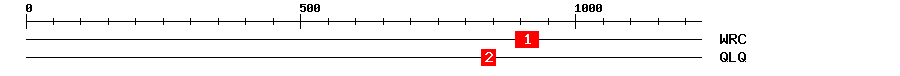 Signature Domain