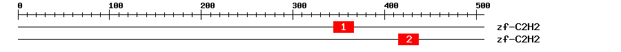 Signature Domain