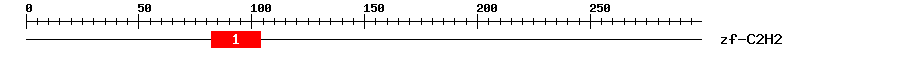 Signature Domain