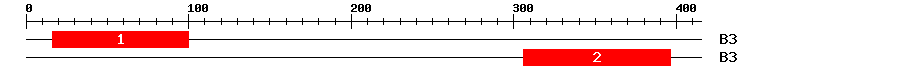 Signature Domain