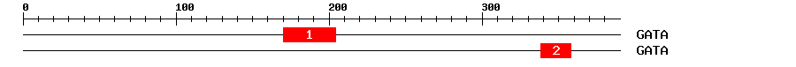 Signature Domain