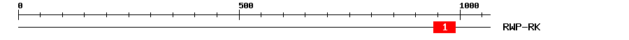 Signature Domain