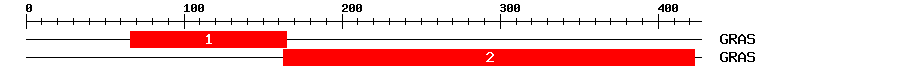 Signature Domain