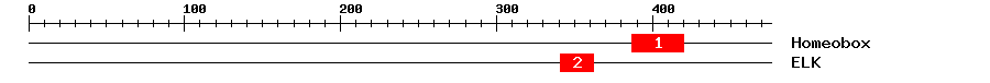 Signature Domain