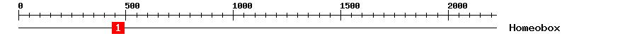 Signature Domain