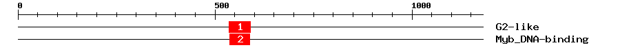 Signature Domain