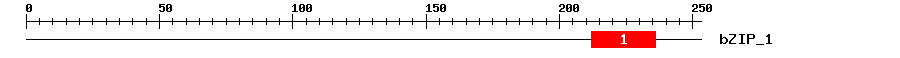 Signature Domain