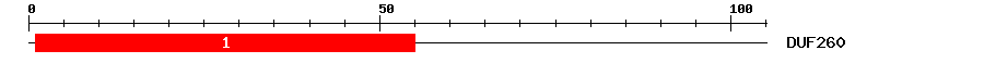 Signature Domain