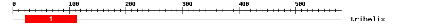 Signature Domain