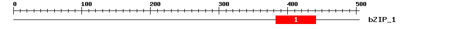 Signature Domain