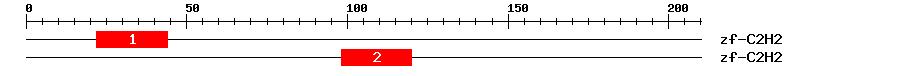 Signature Domain