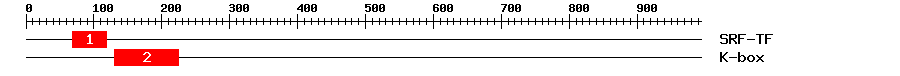 Signature Domain