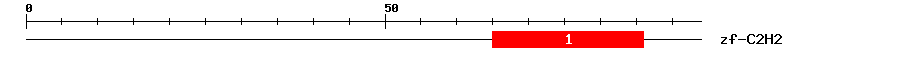 Signature Domain