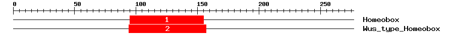 Signature Domain