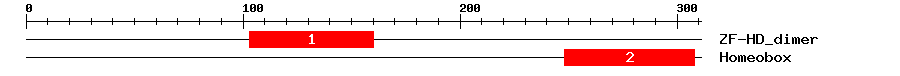 Signature Domain