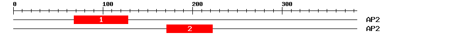 Signature Domain
